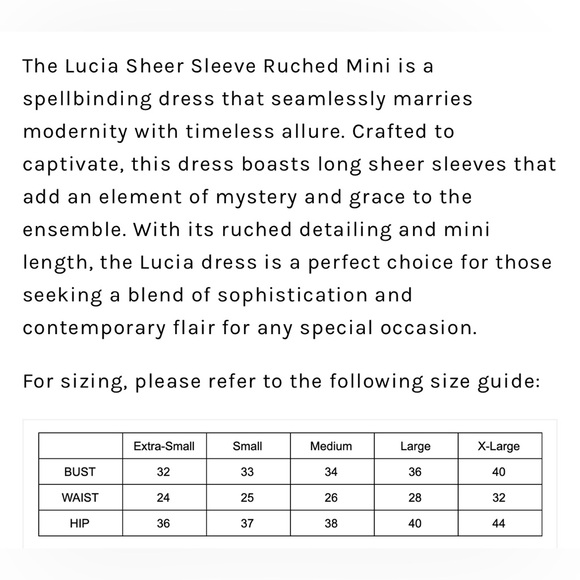 Sheer Sleeve Ruched Mini Dress - Black XL - Picture 5 of 5